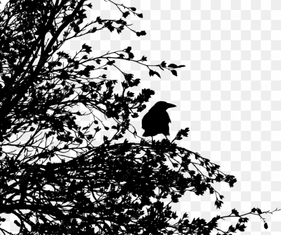 bird tree common raven crow family silhouette - disintegration effect black and white