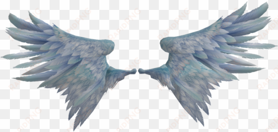 bird wings png - realistic angel wings png