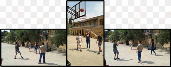 birds nest orphanage basketbal sets soar zurich - basketball