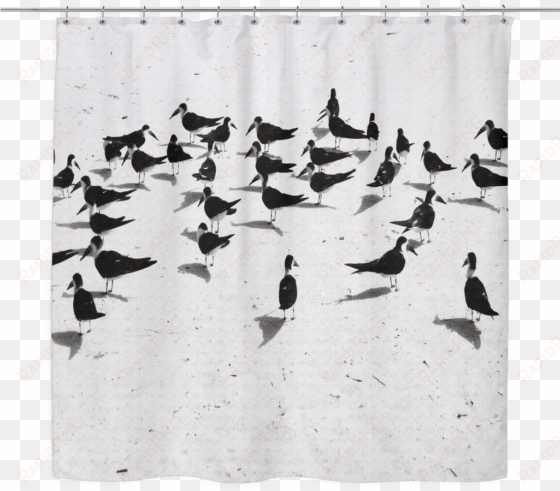 birds on the beach woven oxford cloth shower curtain - textile