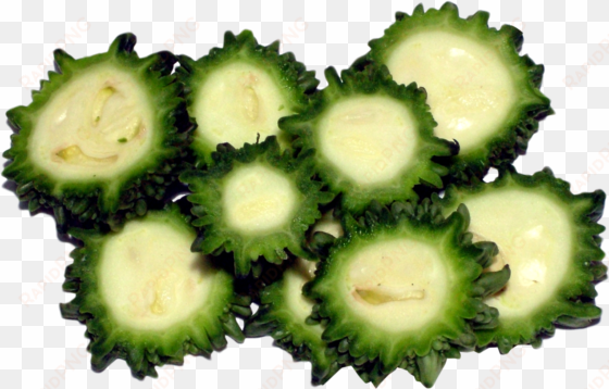 bitter gourd sliced png image - bitter guard slice