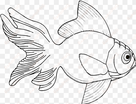 Black And White Fish Clipart - Fish Pictures In Black And White transparent png image
