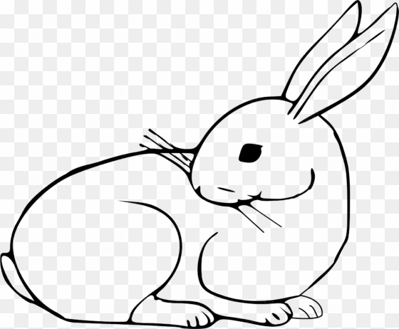 black and white library rabbit big image png - domestic rabbit