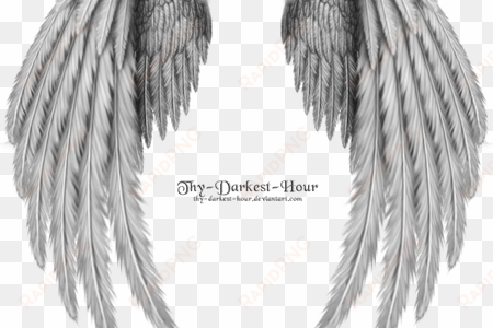 black and white stock angels vector realistic - realistic angel wings drawing