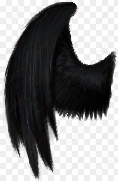 black angel wings png picture - black angel wings png