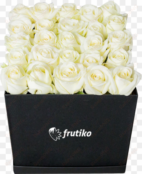 black box of white roses - box of white roses