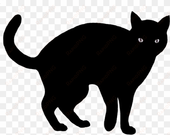 Black Cat Clipart 4 Left - Halloween Black Cat Clipart transparent png image