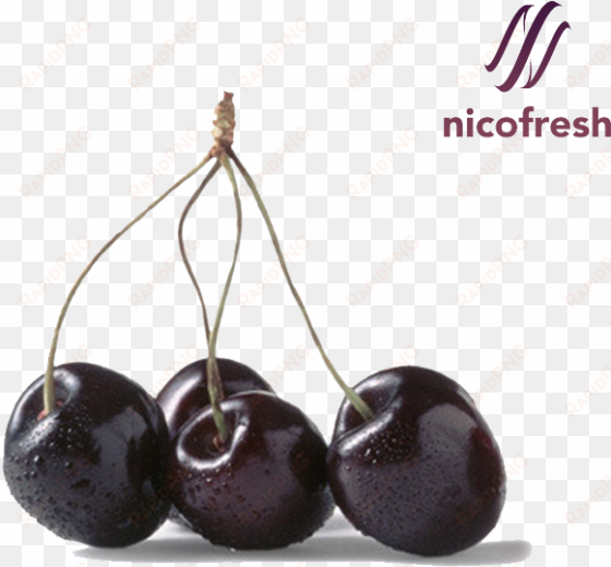 black cherry - black cherry candle fragrance oil