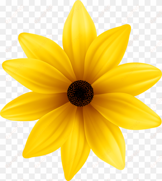 black flowers png