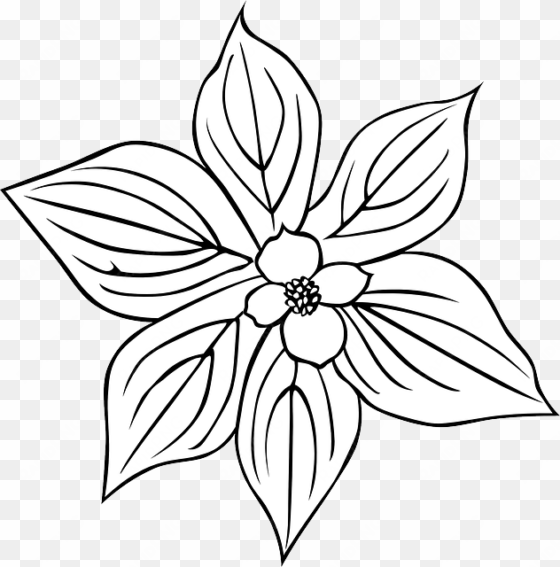 black, outline, plants, flower, flowers, outlines - outline of a flower