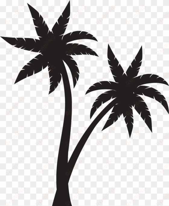 black palm tree png download