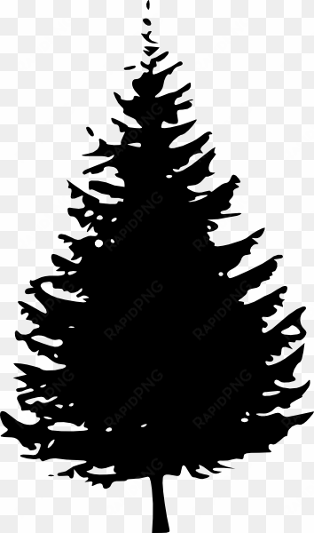 black pine tree clipart - evergreen tree silhouette png
