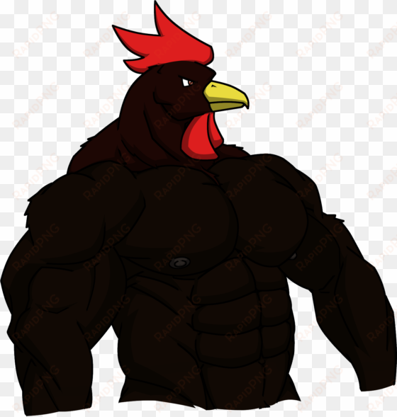 black rooster - chicken