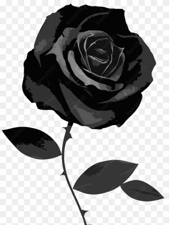 black roses png - black rose white background