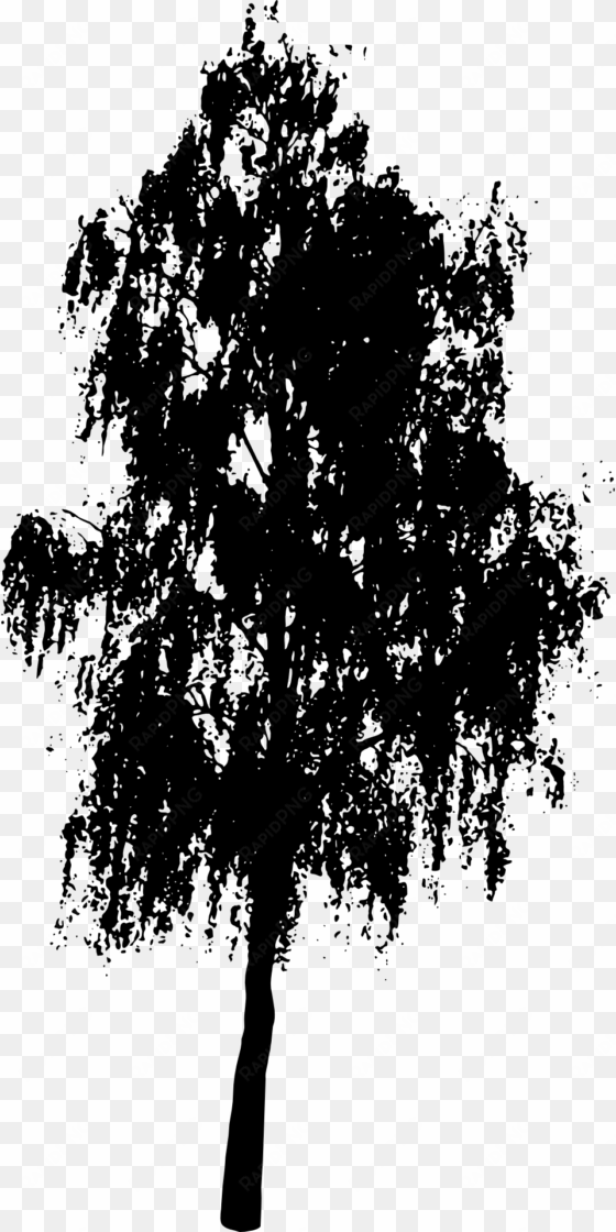 black silhouette of a birch tree - oak tree silhouette png