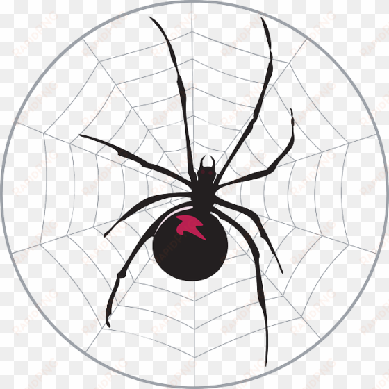black, spider, web, widow, legs, arachnid - spider in a web twin duvet