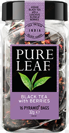 black tea with berries - pure leaf pyramid tea 16
