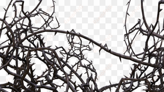 black thorns png