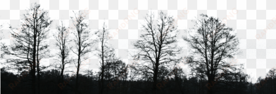 black tree png image - black and white trees png