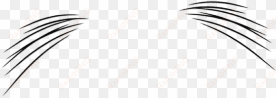 black - white cat whiskers png