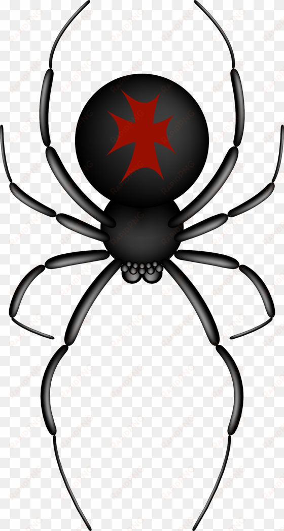 Black Widow Png Transparent Images - Red And Black Spider Clip Art transparent png image