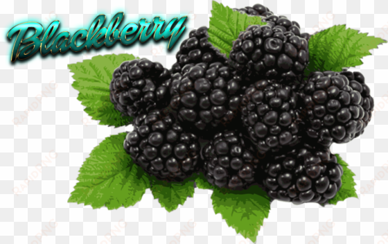 blackberry fruit