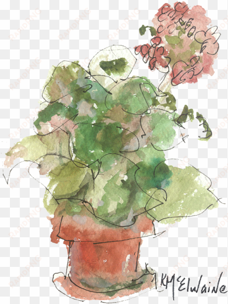 bleed area may not be visible - original buspaintings geranium watercolor painting