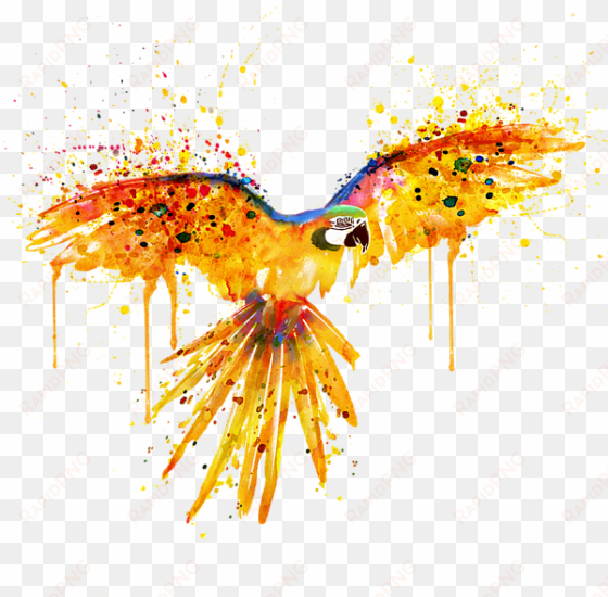 bleed area may not be visible - parrot watercolor flying