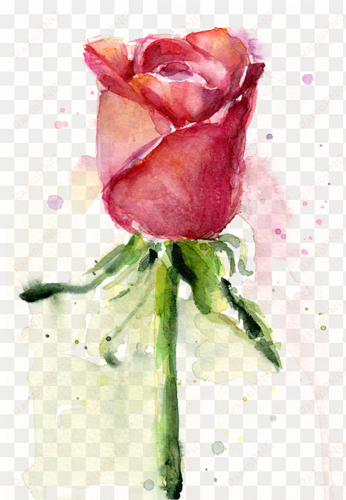 bleed area may not be visible - rose watercolor