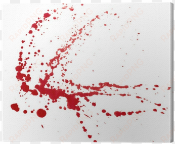 blood splatters isolated on white - blood splatter