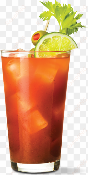 bloody mary - bloody mary cocktail png