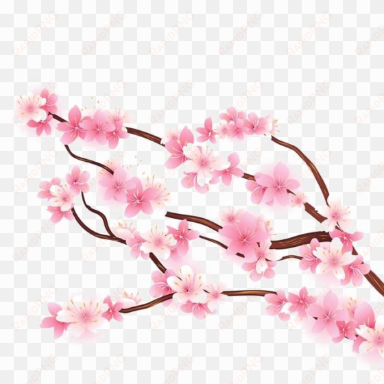 blossom png hd quality - portable network graphics