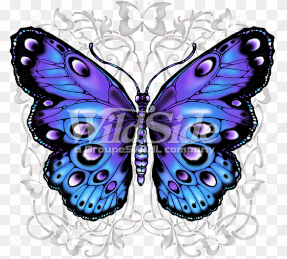 blue and purple butterfly - butterfly plus size t shirts