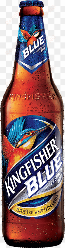 blue bottle - kingfisher beer