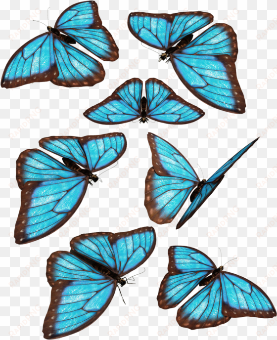 Blue Butterflies By Darkadathea On Deviantart Clip transparent png image