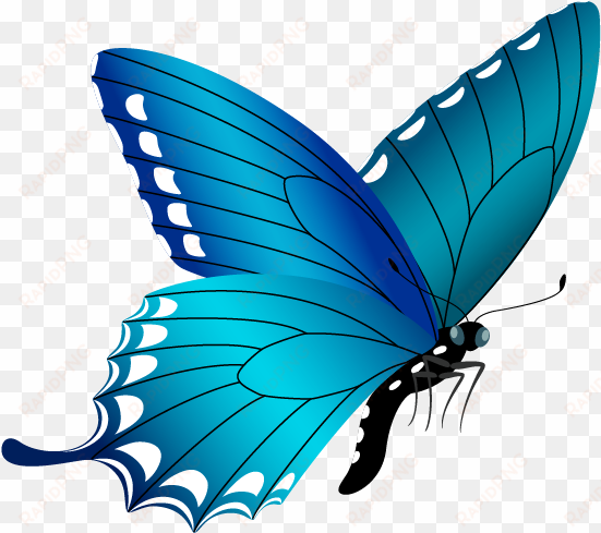 blue butterfly png image - free butterfly clipart png