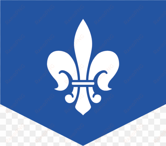 blue flag with a black, medieval fleur de lis design - medieval times blue knight symbol