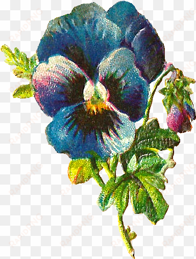 blue flower clipart victorian - pansy