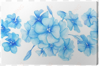 blue hydrangea watercolor illustration canvas print - hydrangea png small watercolour hydrangea