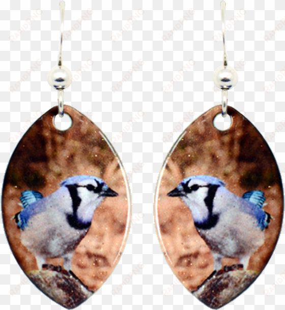 blue jay - earrings