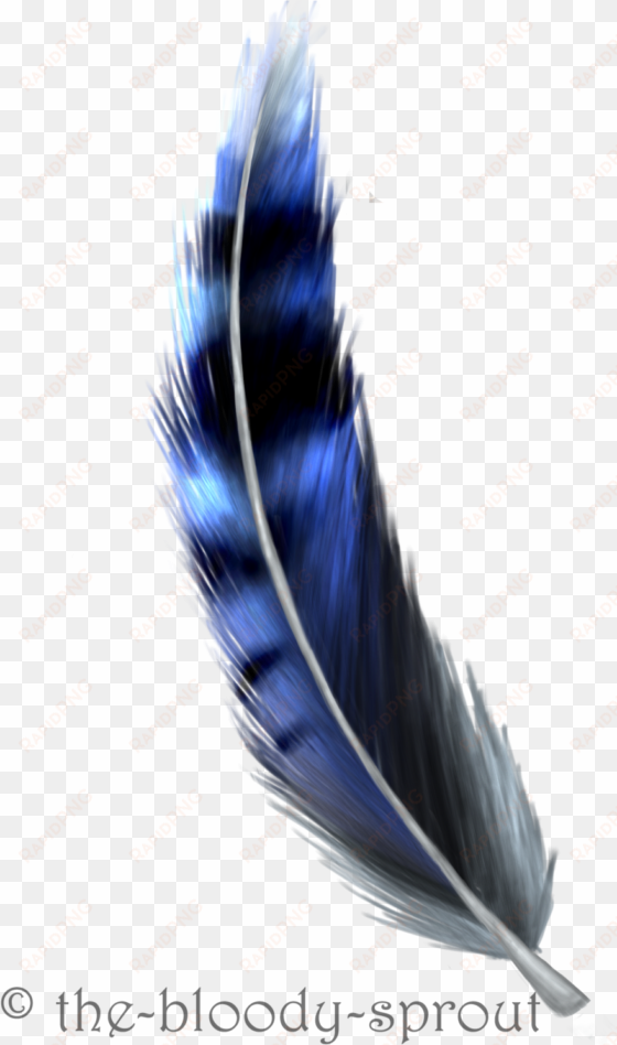 blue jay feather drawing feather sketch, feather drawing, - blue jay feather png