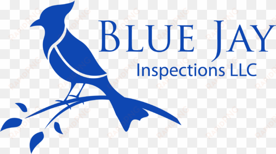 blue jay inspections - blue jay bird logo