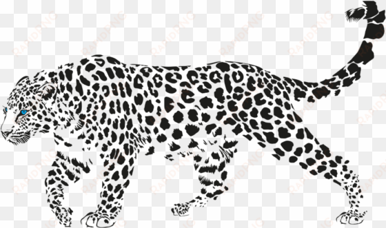 blue leopard - leopard laying down vector