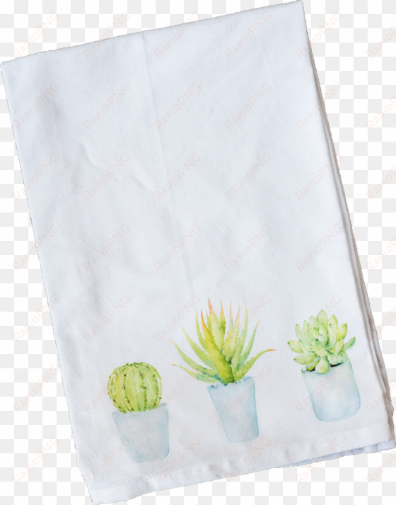 blue potted succulents - placemat