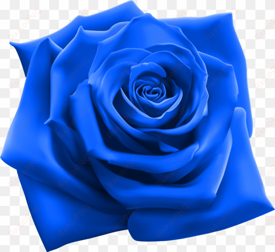 blue rose clipart image gallery yopriceville high quality - snoop dogg 220