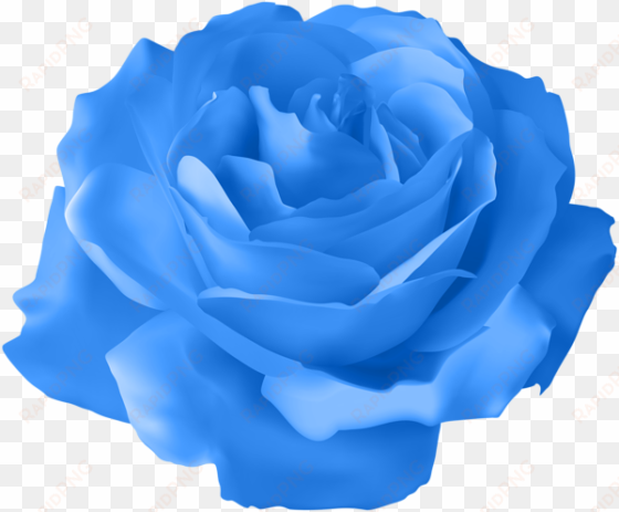 blue rose transparent png clip art image - orange rose flower png