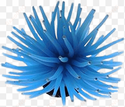 Blue Sea Anemone - Genenic 6 Piece Silicone Aquarium Artificial Sea Anemone transparent png image