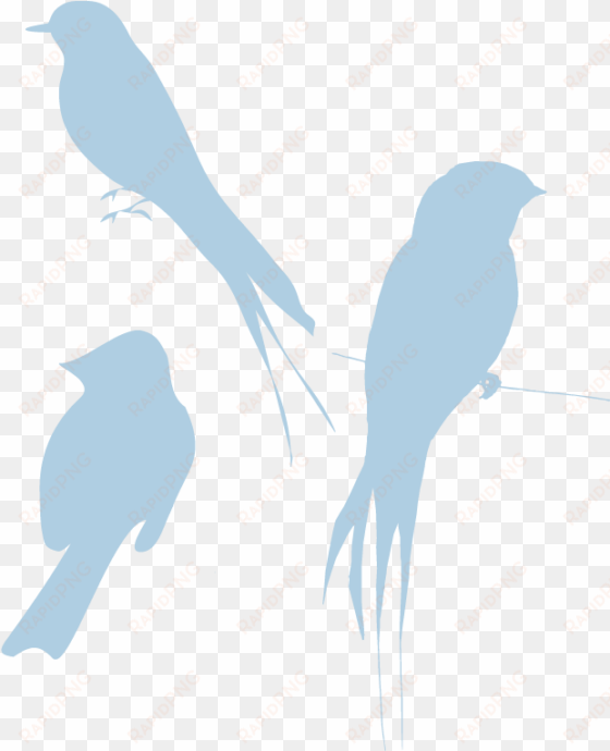 blue silhouette birds look so bird clipart transparent - bird silhouette