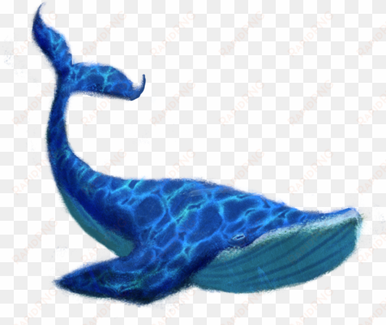 Blue Whale Png Transparent Image - Blue Whale Png transparent png image