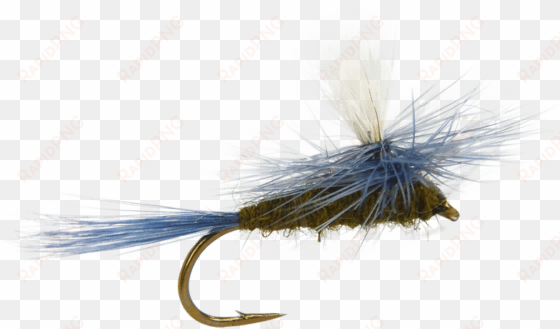 blue winged olive parachute fly, fly fishing flies, - fishing fly flies transparent